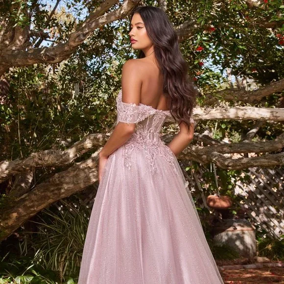 NEW LONG A-LINE OFF THE SHOULDER SLEEVELESS TULLE DRESS WITH ZIPPER BACK CD0198